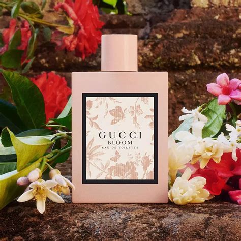 chemist warehouse bloom gucci|Gucci Bloom edt fragrantica.